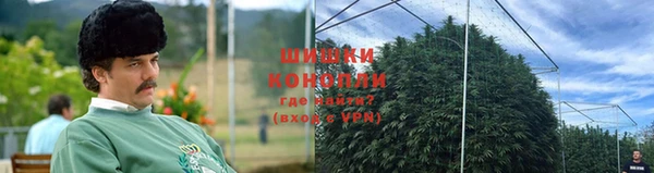 шишки Волосово