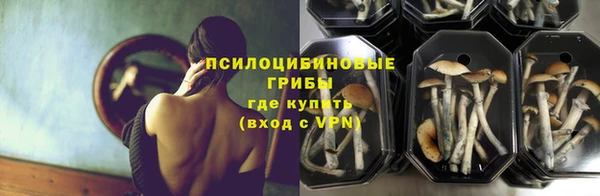 шишки Волосово