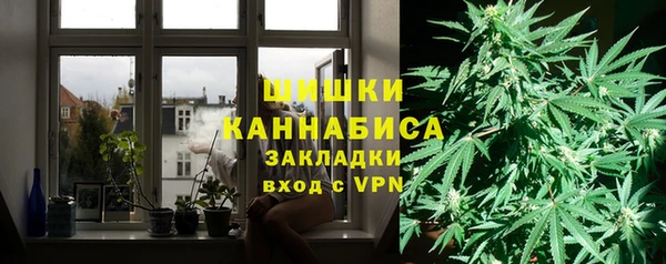 шишки Волосово