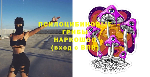шишки Волосово