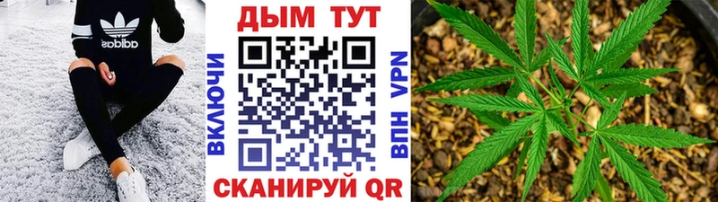 Купить закладки  Лесосибирск  МАРИХУАНА семена 
